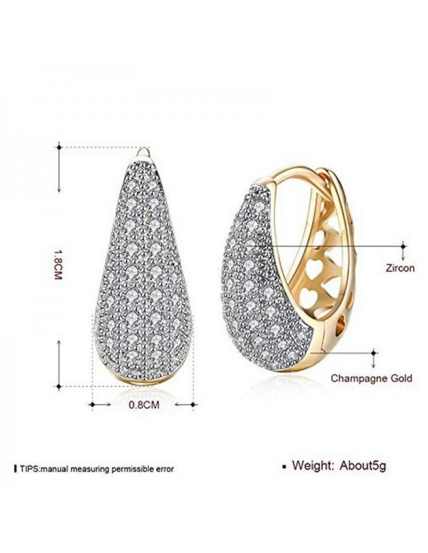 Jewels Galaxy Delicate Zircon Gold Plated Plushy Drop Earrings For Women/Girls 45108