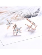 Jewels Galaxy Rose Gold Plated American ...